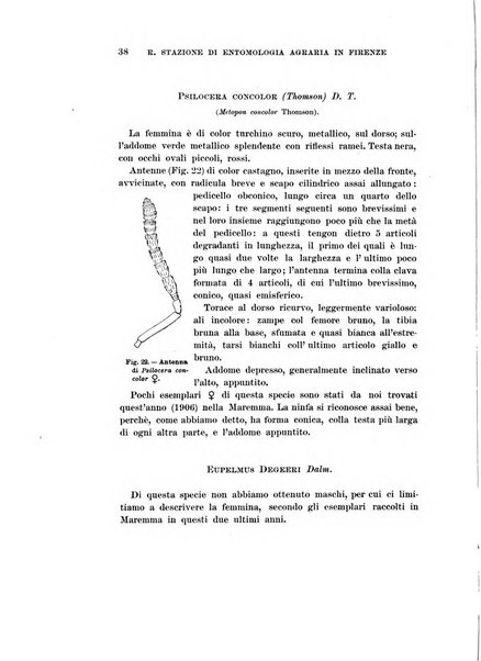 Redia giornale di entomologia pubblicato dalla R. Stazione di entomologia agraria