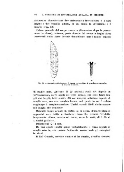 Redia giornale di entomologia pubblicato dalla R. Stazione di entomologia agraria