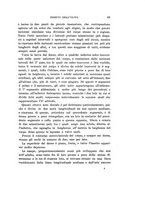 giornale/UFI0040156/1907/unico/00000059