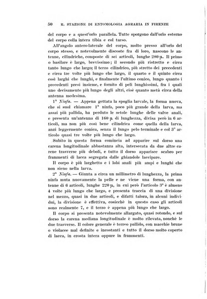 Redia giornale di entomologia pubblicato dalla R. Stazione di entomologia agraria