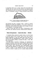 giornale/UFI0040156/1907/unico/00000063