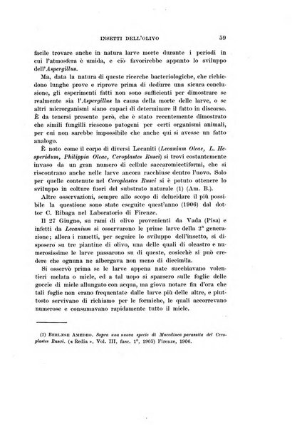 Redia giornale di entomologia pubblicato dalla R. Stazione di entomologia agraria