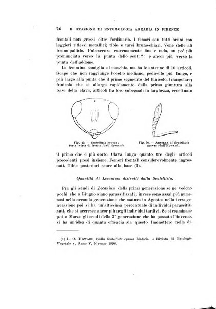 Redia giornale di entomologia pubblicato dalla R. Stazione di entomologia agraria