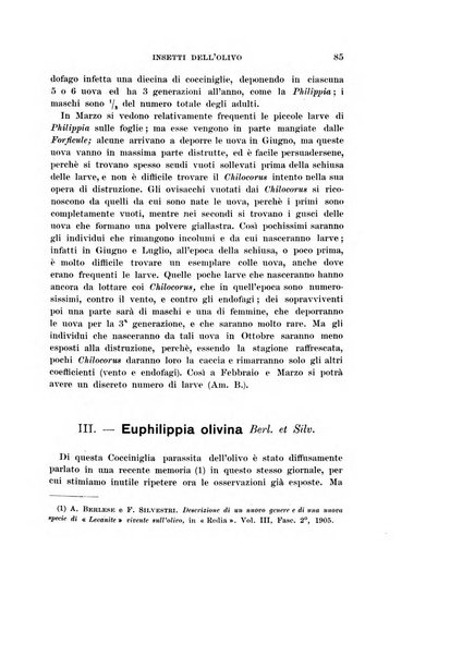 Redia giornale di entomologia pubblicato dalla R. Stazione di entomologia agraria