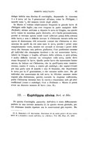 giornale/UFI0040156/1907/unico/00000095