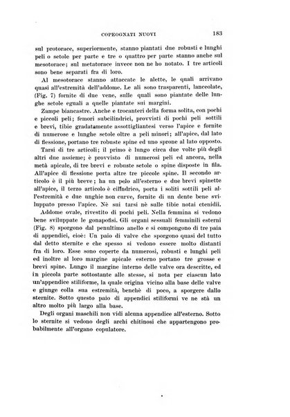 Redia giornale di entomologia pubblicato dalla R. Stazione di entomologia agraria