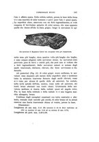 giornale/UFI0040156/1907/unico/00000197