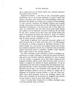 giornale/UFI0040156/1907/unico/00000258