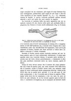 giornale/UFI0040156/1907/unico/00000264