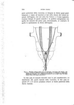 giornale/UFI0040156/1907/unico/00000268