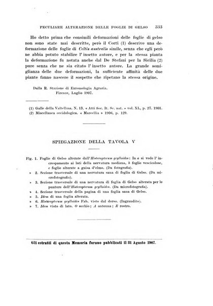 Redia giornale di entomologia pubblicato dalla R. Stazione di entomologia agraria