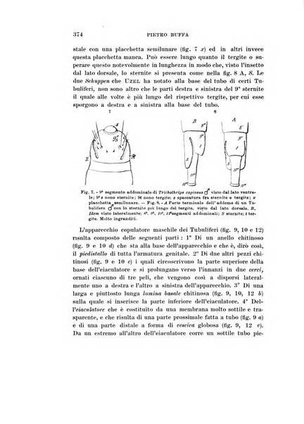 Redia giornale di entomologia pubblicato dalla R. Stazione di entomologia agraria