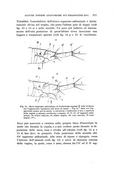 Redia giornale di entomologia pubblicato dalla R. Stazione di entomologia agraria