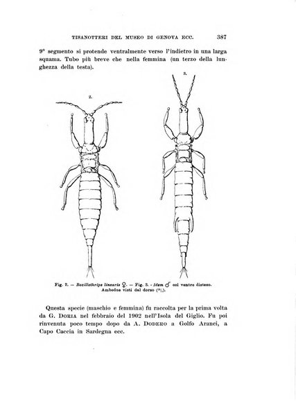 Redia giornale di entomologia pubblicato dalla R. Stazione di entomologia agraria