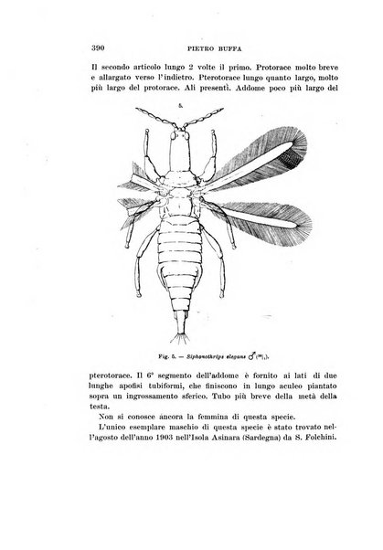 Redia giornale di entomologia pubblicato dalla R. Stazione di entomologia agraria