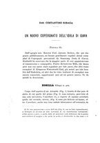 giornale/UFI0040156/1909/unico/00000030