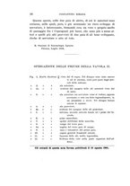 giornale/UFI0040156/1909/unico/00000036