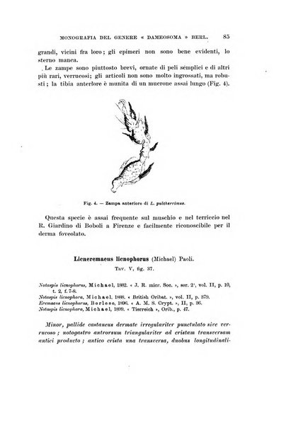 Redia giornale di entomologia pubblicato dalla R. Stazione di entomologia agraria