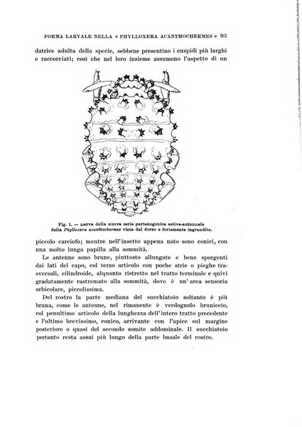 Redia giornale di entomologia pubblicato dalla R. Stazione di entomologia agraria