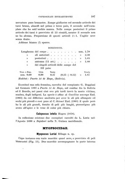 Redia giornale di entomologia pubblicato dalla R. Stazione di entomologia agraria