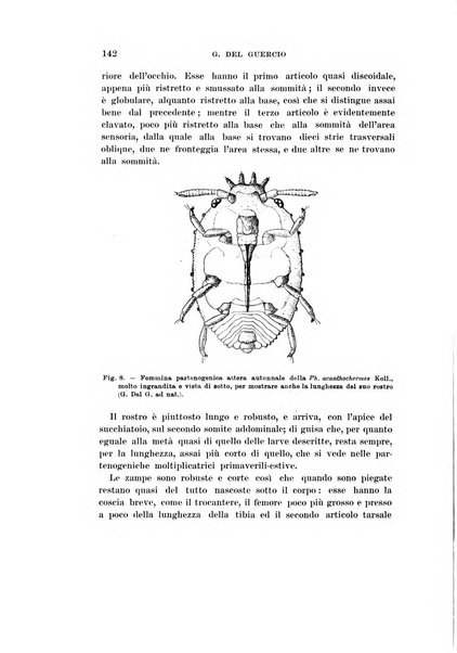 Redia giornale di entomologia pubblicato dalla R. Stazione di entomologia agraria