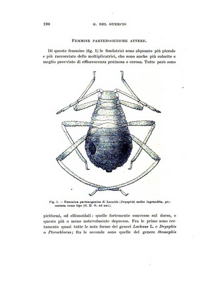 Redia giornale di entomologia pubblicato dalla R. Stazione di entomologia agraria