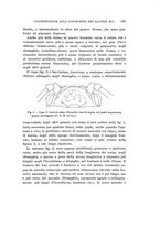 giornale/UFI0040156/1909/unico/00000205