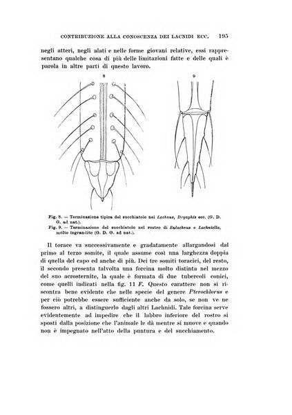 Redia giornale di entomologia pubblicato dalla R. Stazione di entomologia agraria