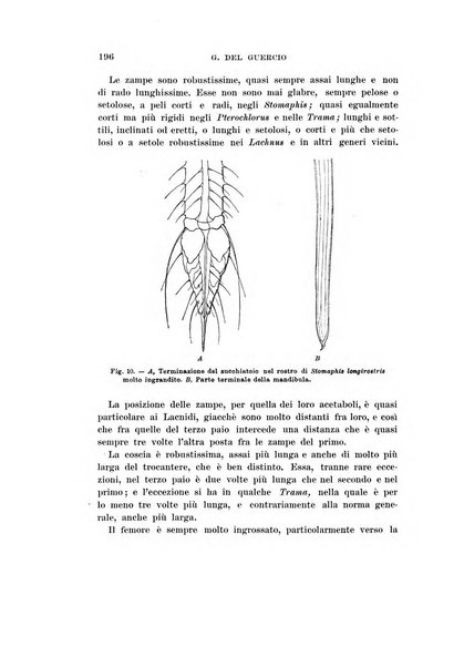 Redia giornale di entomologia pubblicato dalla R. Stazione di entomologia agraria