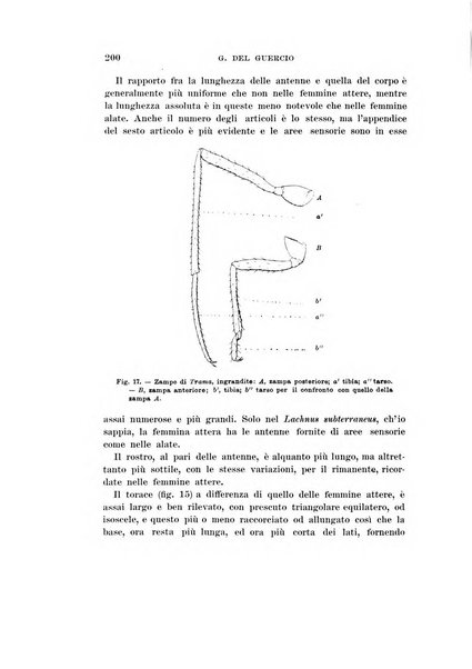 Redia giornale di entomologia pubblicato dalla R. Stazione di entomologia agraria