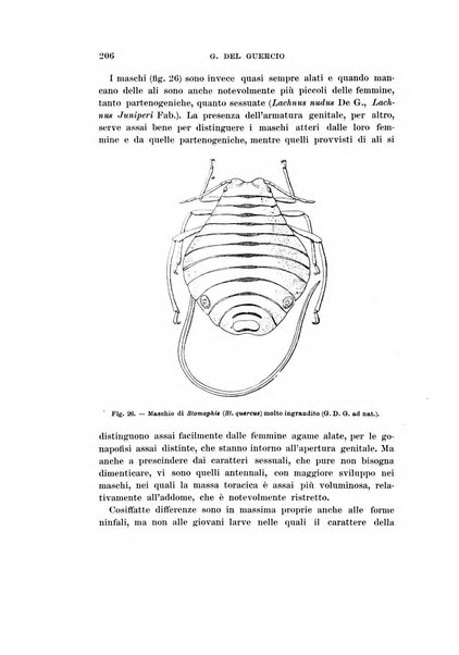 Redia giornale di entomologia pubblicato dalla R. Stazione di entomologia agraria