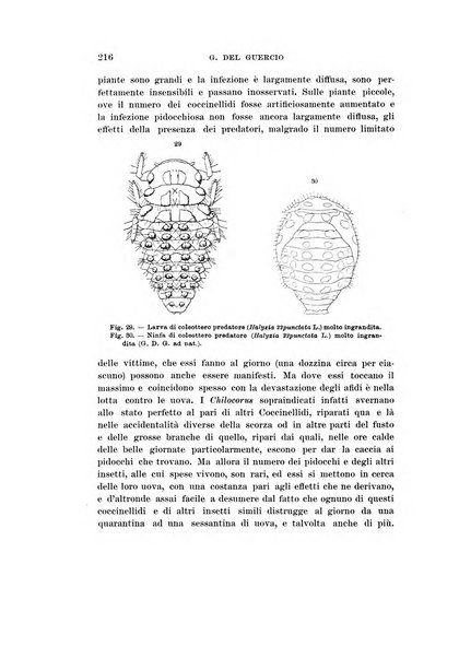 Redia giornale di entomologia pubblicato dalla R. Stazione di entomologia agraria