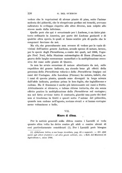 Redia giornale di entomologia pubblicato dalla R. Stazione di entomologia agraria