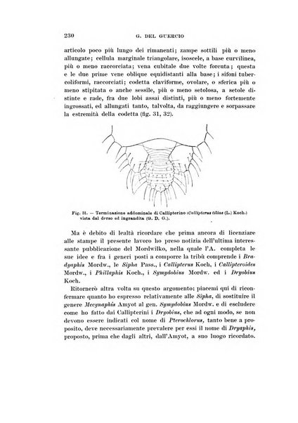 Redia giornale di entomologia pubblicato dalla R. Stazione di entomologia agraria