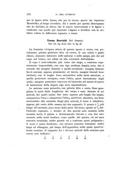 Redia giornale di entomologia pubblicato dalla R. Stazione di entomologia agraria