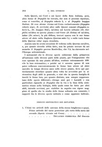 Redia giornale di entomologia pubblicato dalla R. Stazione di entomologia agraria