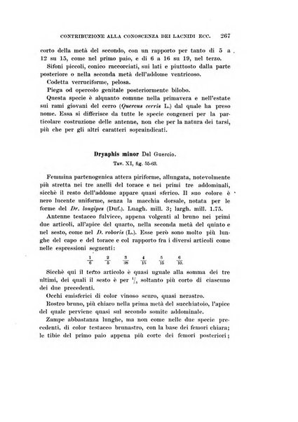 Redia giornale di entomologia pubblicato dalla R. Stazione di entomologia agraria