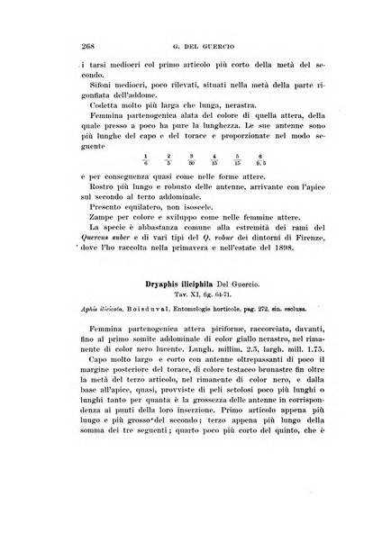 Redia giornale di entomologia pubblicato dalla R. Stazione di entomologia agraria