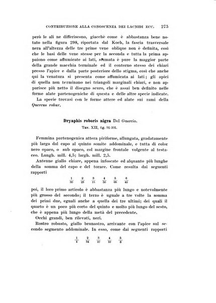 Redia giornale di entomologia pubblicato dalla R. Stazione di entomologia agraria