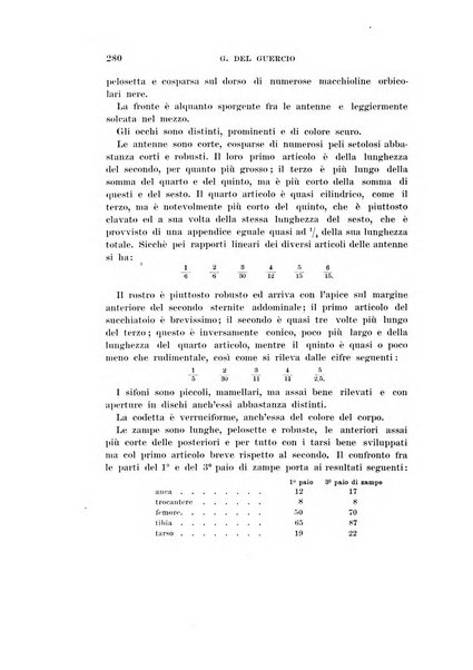 Redia giornale di entomologia pubblicato dalla R. Stazione di entomologia agraria