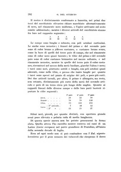 Redia giornale di entomologia pubblicato dalla R. Stazione di entomologia agraria