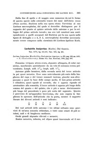 Redia giornale di entomologia pubblicato dalla R. Stazione di entomologia agraria