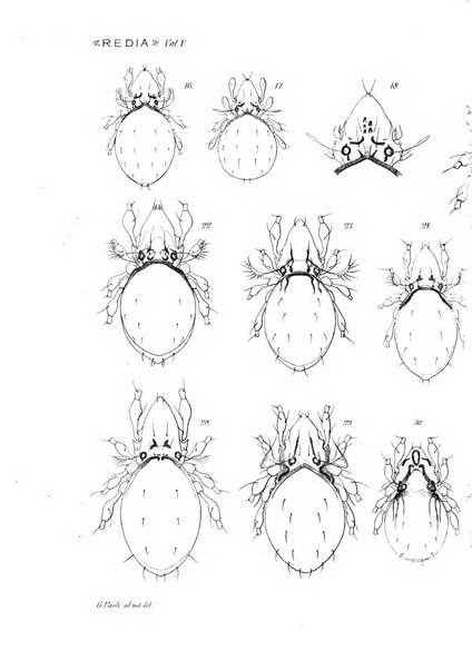 Redia giornale di entomologia pubblicato dalla R. Stazione di entomologia agraria