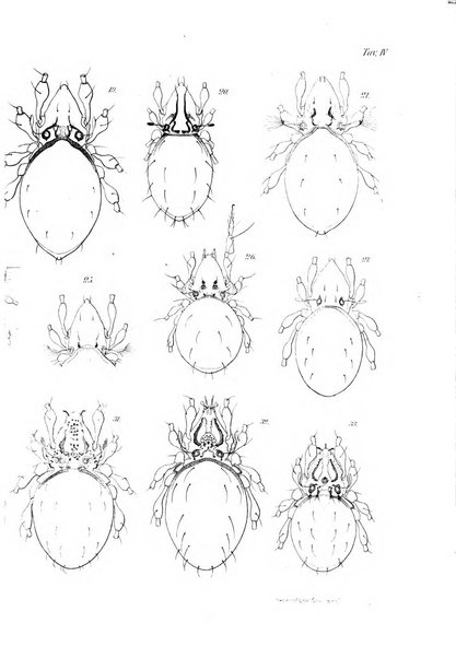 Redia giornale di entomologia pubblicato dalla R. Stazione di entomologia agraria