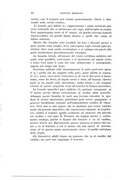 Redia giornale di entomologia pubblicato dalla R. Stazione di entomologia agraria