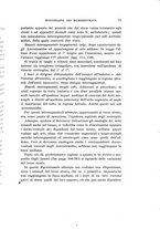 giornale/UFI0040156/1910/unico/00000085