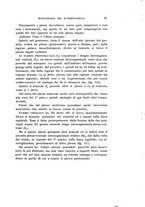 giornale/UFI0040156/1910/unico/00000101