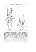 giornale/UFI0040156/1910/unico/00000171