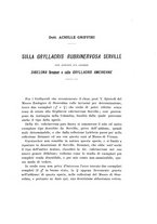 giornale/UFI0040156/1910/unico/00000193