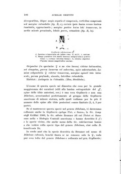 Redia giornale di entomologia pubblicato dalla R. Stazione di entomologia agraria